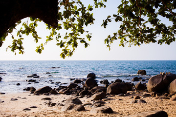 Obraz premium View of nice tropical beach.