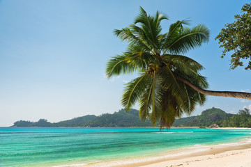 Fototapeta na wymiar Tropical beach at Mahe island Seychelles