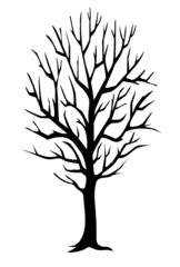 Winter tree silhouette
