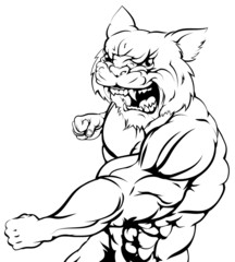 Wildcat mascot fighting