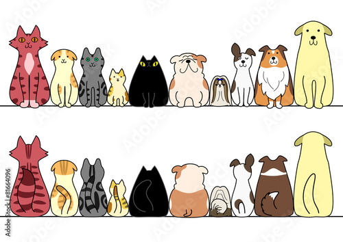 犬 猫 一列 正面 背面 コピースペース セット Wall Mural Studio Ayutaka 犬 猫 一列 正面 背面 コピースペース セット Wall Mural Studio Ayutaka
