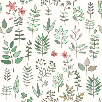 Seamless pattern with doodle herbs and flowers.