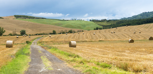 Obraz premium Montalcino (Tuscany, Italy)