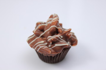 Delicious chocolate praline are tasty dessert.