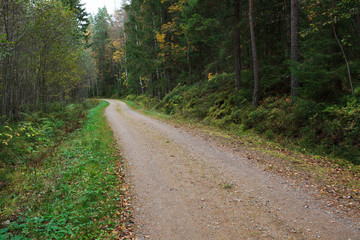 Fototapeta na wymiar Rural small gravel road in finland
