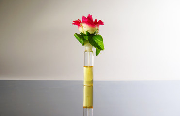 perfume with rose on mirror surface