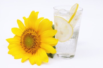 ひまわりと炭酸飲料