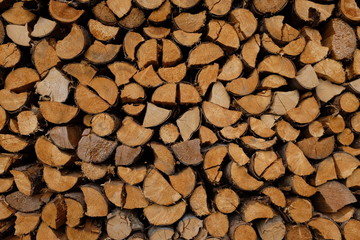 Scheitholz Buche Kiefer