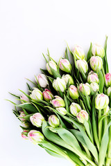 Obraz premium bunch of tulips