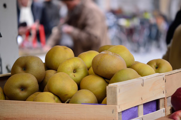 pommes reinettes  du canada au marché