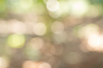 Obraz premium Sunny abstract green nature background, selective focus