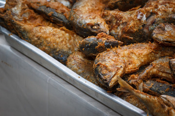 Fried Mackerel
