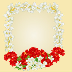 Frame with red hibiscus and jasmine vector