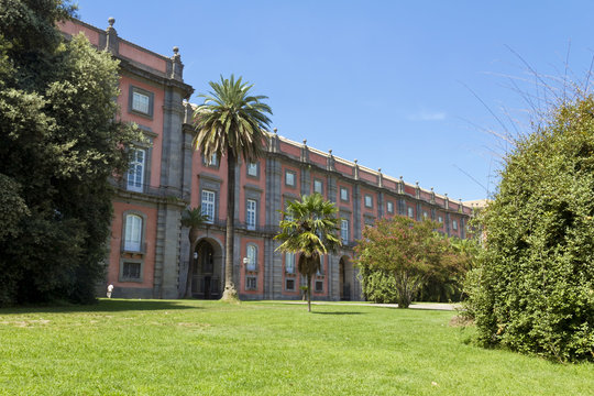 The National Museum In Naples, Italy