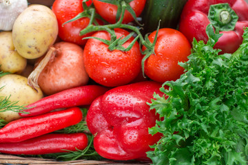 Obraz na płótnie Canvas Fresh vegetables in basket