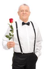 Elegant senior gentleman holding a red rose