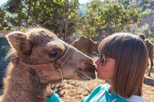 Girl kissing camel