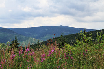 Obraz premium jeseniky mountains (czech republic)