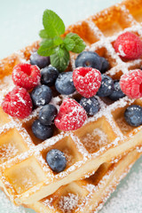 Fresh homemade brussels waffle with berries
