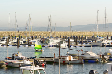 Obraz premium child learn to sail on optimist sailboat in the marina