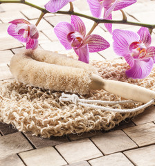 seeking for vitality and energy for spa treatment
