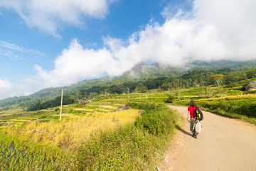 Obraz premium Stunning rice paddies exploration