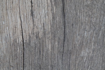 Grunge Wooden Texture used as background 