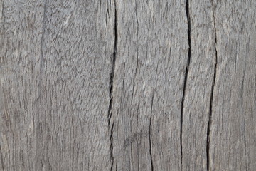 Wood texture background