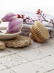 natural bodycare with magnolia flowers in background