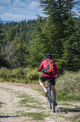 Fototapeta premium VTT au printemps