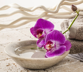 cup of water with orchids for spa treatment