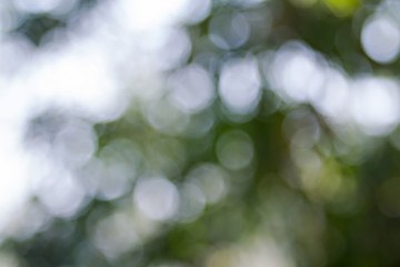 defocused bokeh abstract lights