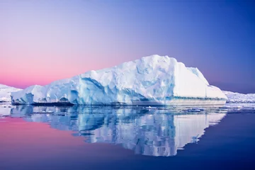 Foto op Canvas Antarctische gletsjer © Goinyk