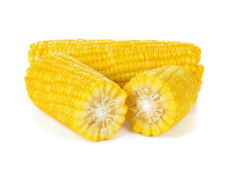 corn isolated on a white background