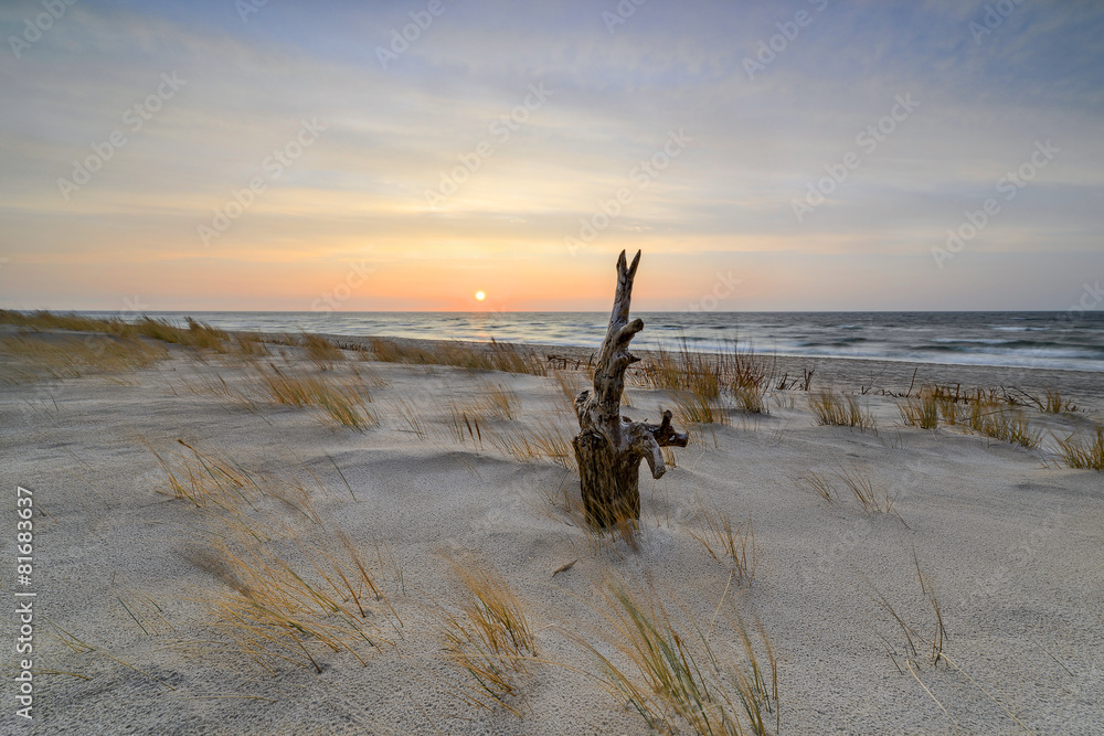 Fototapete Morze,  plaża o wschodzie słońca