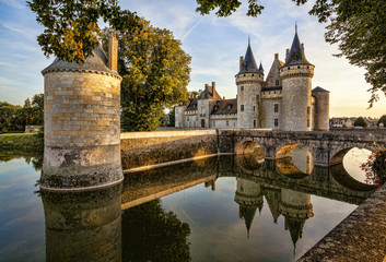 Obraz premium Sully-sur-Loire. Francja. Zamek Doliny Loary.