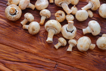 raw champignons