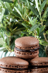Feines Gebäck -Macarons