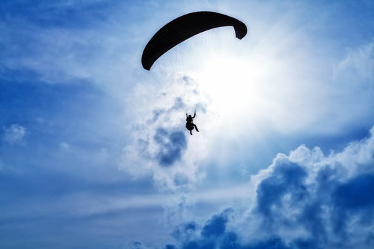 paraglider