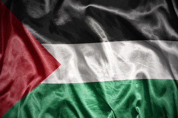 shining palestinian flag
