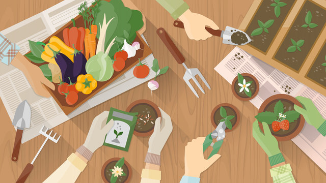 Gardeners working together