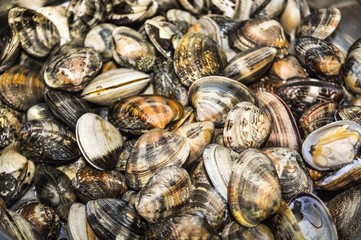 Seafood sprinkled with parsley