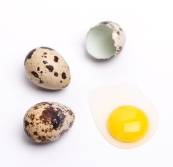 Fototapeta premium quail eggs