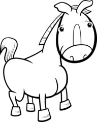 little horse or foal coloring page