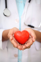 Female doctor holding a beautiful red heart shape