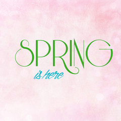 SPRING IS HERE on pink pastel background