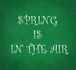 Obraz premium SPRING IS IN THE AIR written on chalkboard