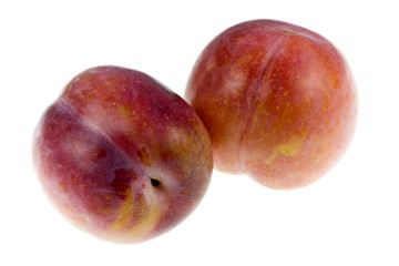 Aurora Plums
