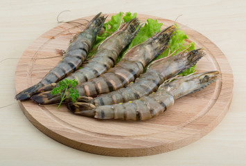 Raw tiger shrimps