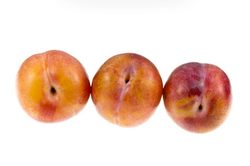 Aurora Plums